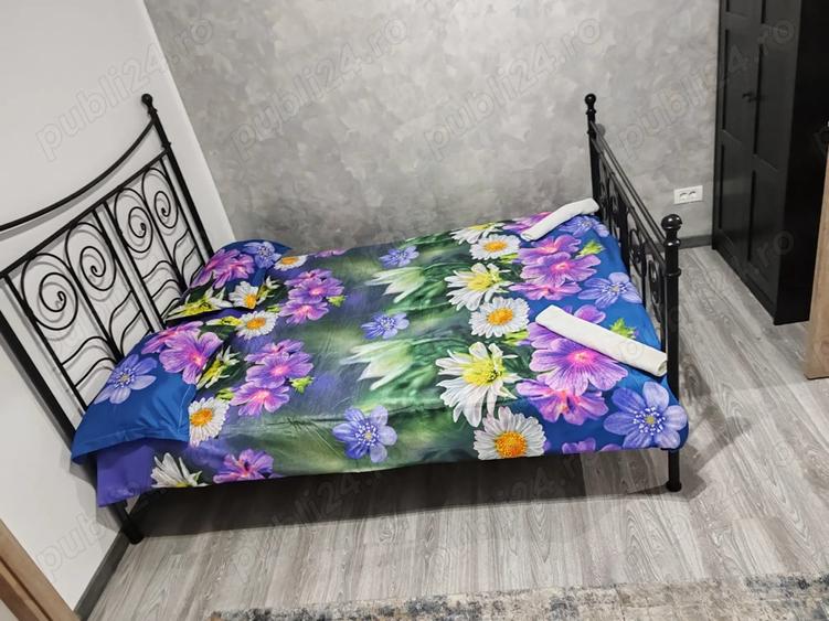 Apartament Baile Herculane - 1