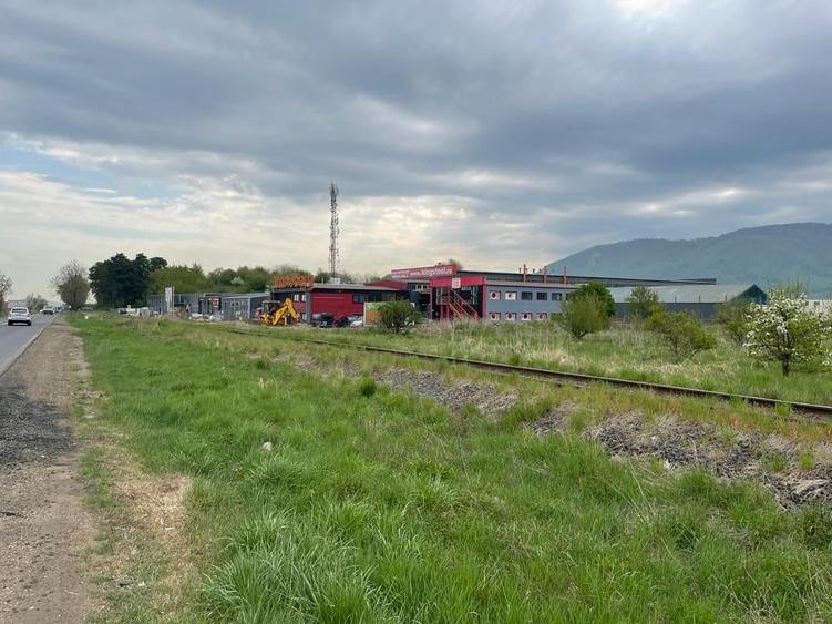 Hala Industriala, zona Ina Schaeffler , 530 mp utili - 17