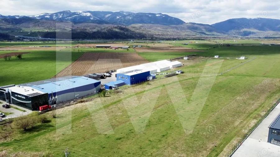 Oportunitate de Investi?ie sau Construc?ie Hala Teren 3.900 mp | Talmaciu - 8