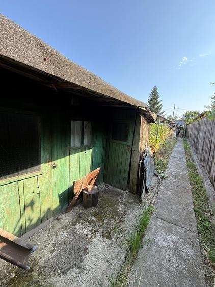 Chitila Colosseum Mall- Parc Maica Teofana - 26