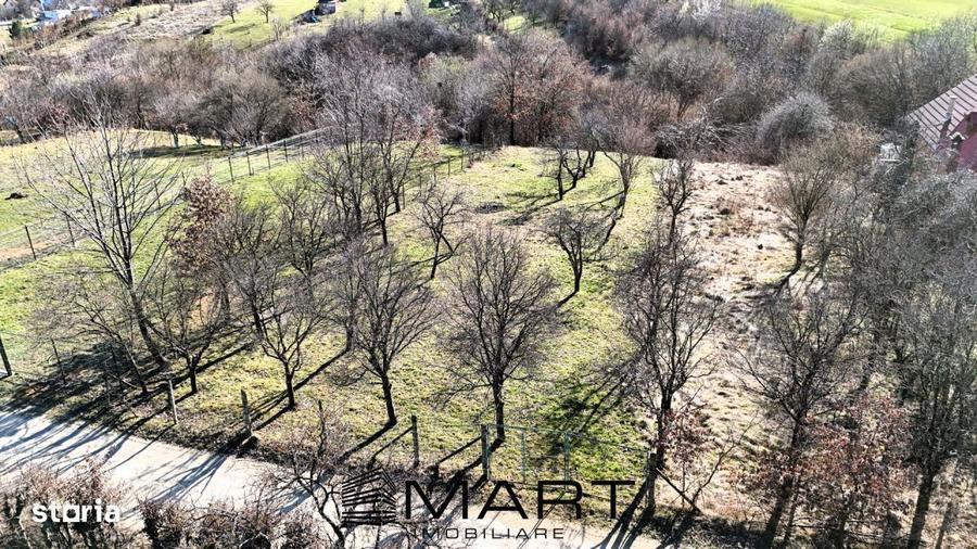 Teren intravilan 1000mp Padurea Dumbrava - 7