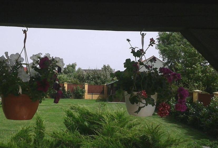 Casa individuala cu teren de 1000 mp. - 10