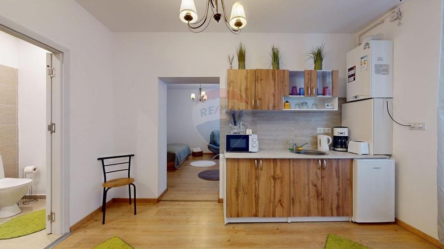 Garsoniera mobilata si utilata Centrul Istoric, Str Republicii - 10