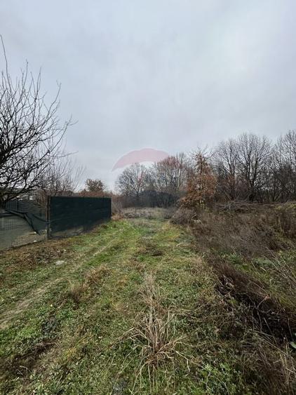 Teren 1,200mp si 400m2 cota drum Satu Nou de Jos / Strada Principala - 3