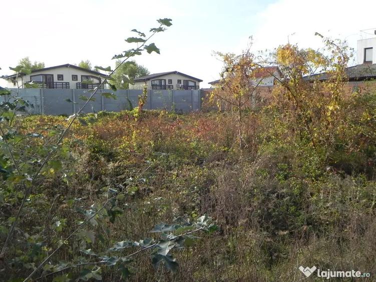 Teren intravilan -pozitie deosebita-langa padure-Domnesti-Teghes 518mp - 7