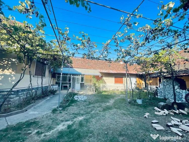 Casa 6 camere Finis - 14