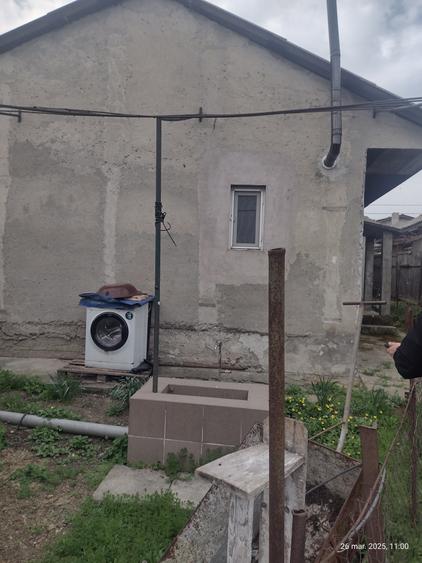 Palazu Mare Casa la sol teren 900 mp - 12