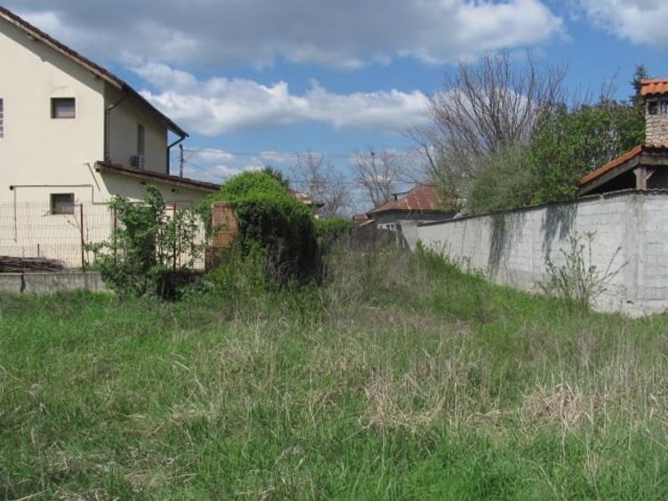 Cornetu - Lalelelor, Stradal - 6