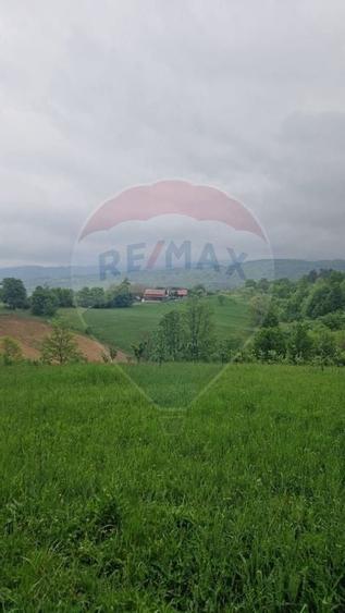 Teren 2,723mp Bratca / Drumul principala - 2