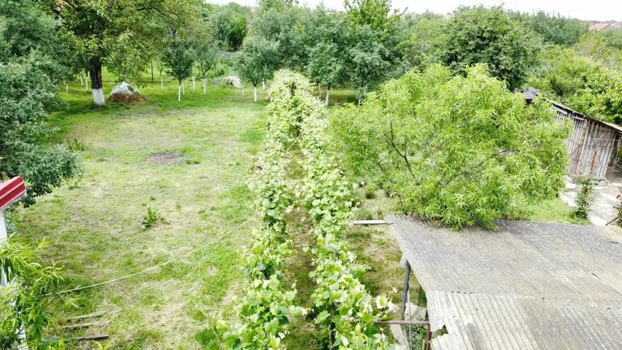 Casa in Co?teiu, teren de 1500 mp, la pret de apartament in Lugoj - 10