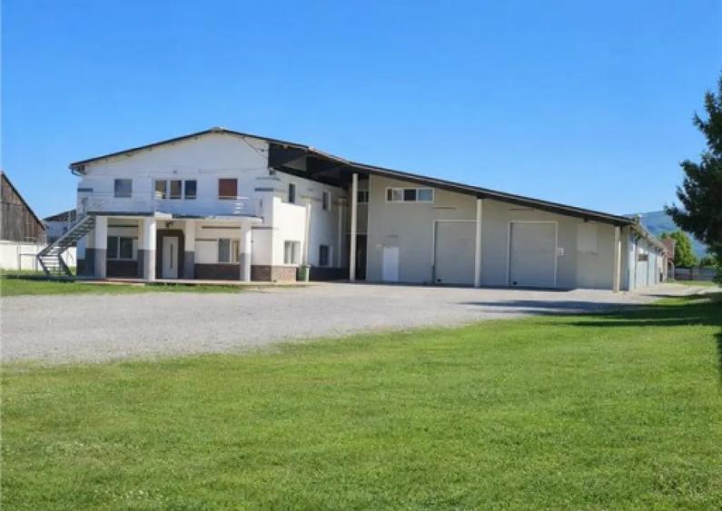 Hala multifunctionala, Prejmer, Central - 6