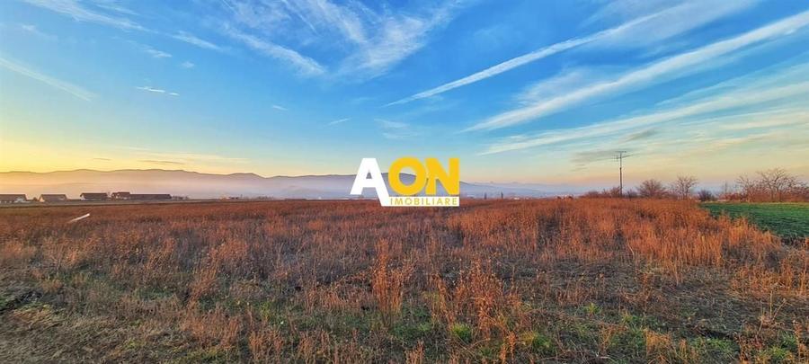 Teren intravilan de vanzare, priveliste deosebita, 560MP - 6