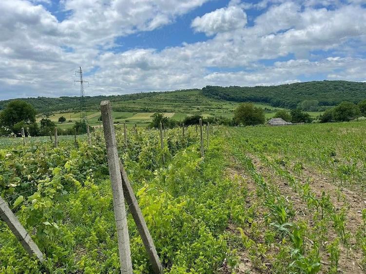 Persoana fizica vand Casa 3 camere si teren 2000 mp com. Schitu Duca - 9