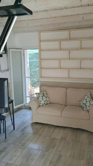 TitulescuTurdaBanuManta p+m 2camere+2GupuriSanitare total38mp+singur curte(12mp) proprietar - 3