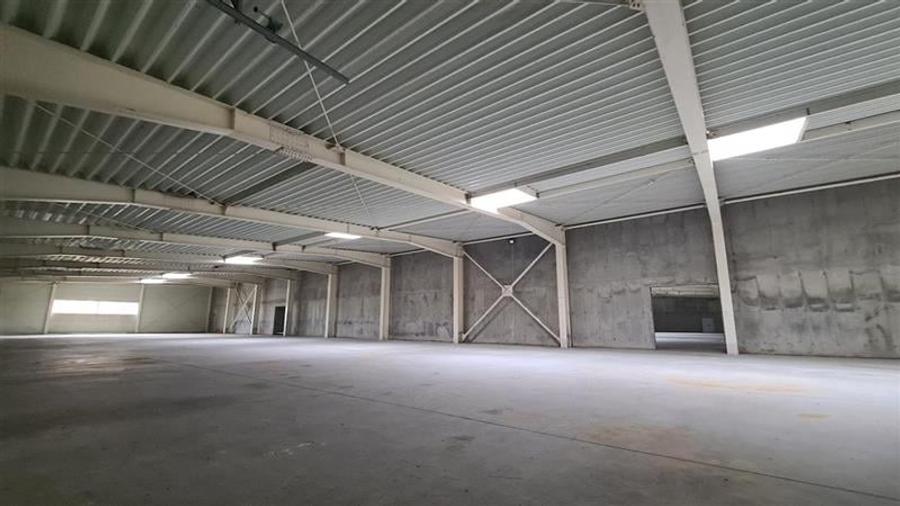 Hala productie de vanzare Timisoara - Exterior Nord - 3