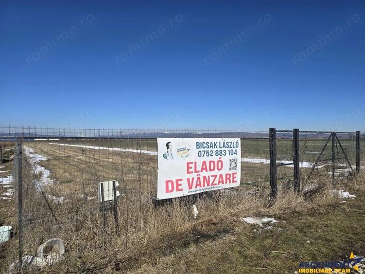 Liniste si aer curat in proximitatea Municipiului Sfantu Gheorghe - 7