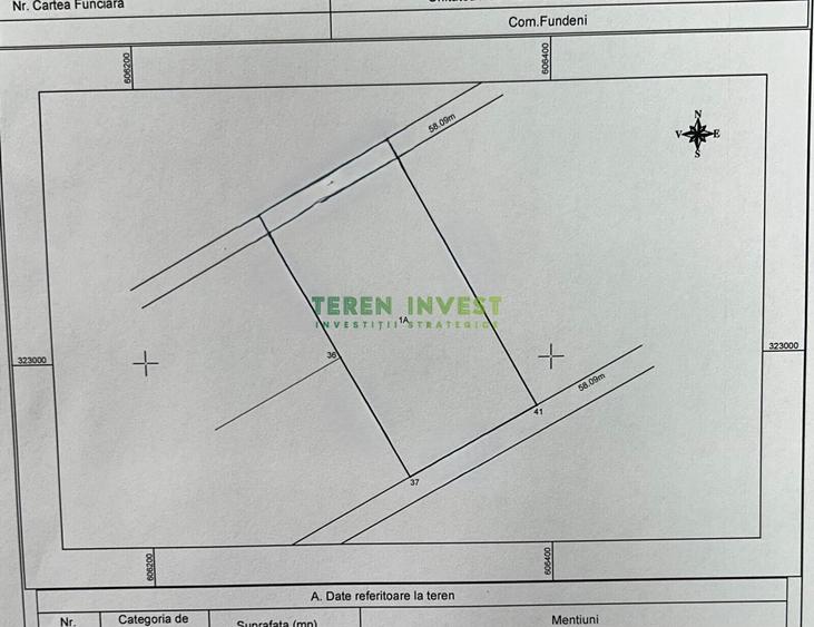 Teren Construcții intravilan de 10000 mp, în Cernica