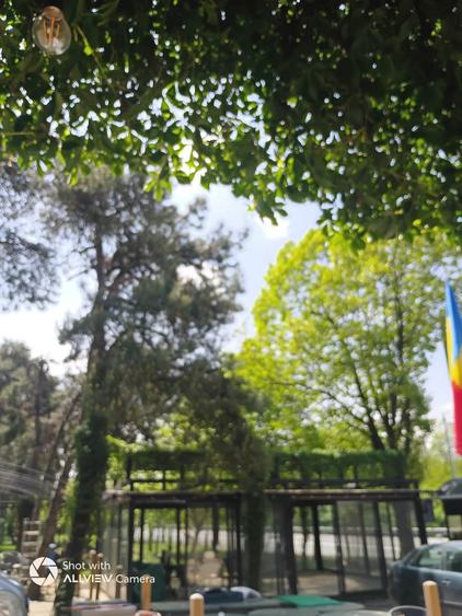 Proprietate specială, de 30 mp, în Sinești