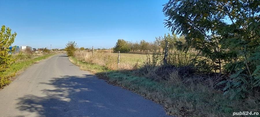 Teren de 4000 mp, în Cărpiniș