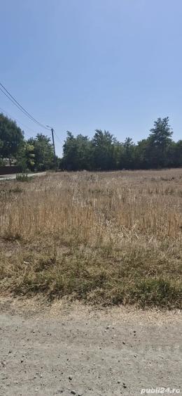 Teren de 800 mp, în Rasa