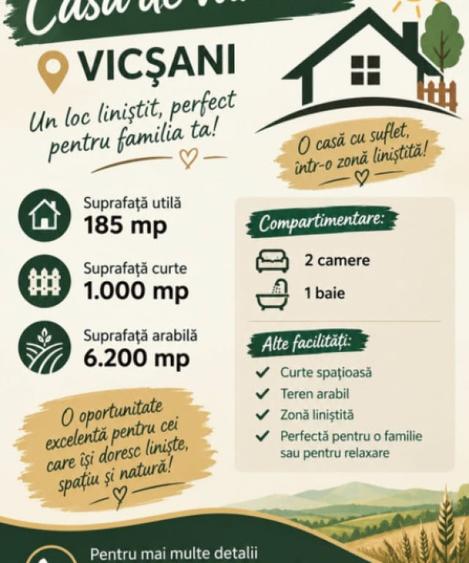 Casă cu 2 camere cu Teren 3200 Mp în Vicșani