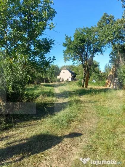 Casă cu 3 camere cu Teren 7600 Mp în Central
