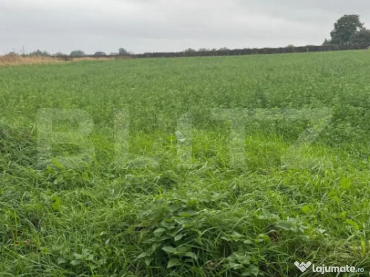 Teren intravilan, 1213 mp, front 24 ml, la ie?irea din Suce - 1