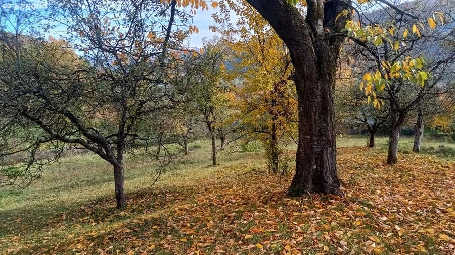 Vanzare teren intravilan - 4