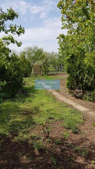 Teren 2.600 mp, utilități, Str. Merișor – Giurgiu - 13