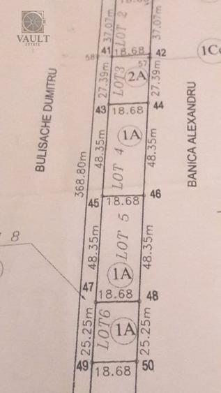 Teren - Snagov -900MP - 8