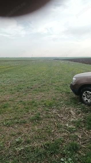 Inchiriez teren 30 ha pretabil pentru parc fotovoltaic - 3