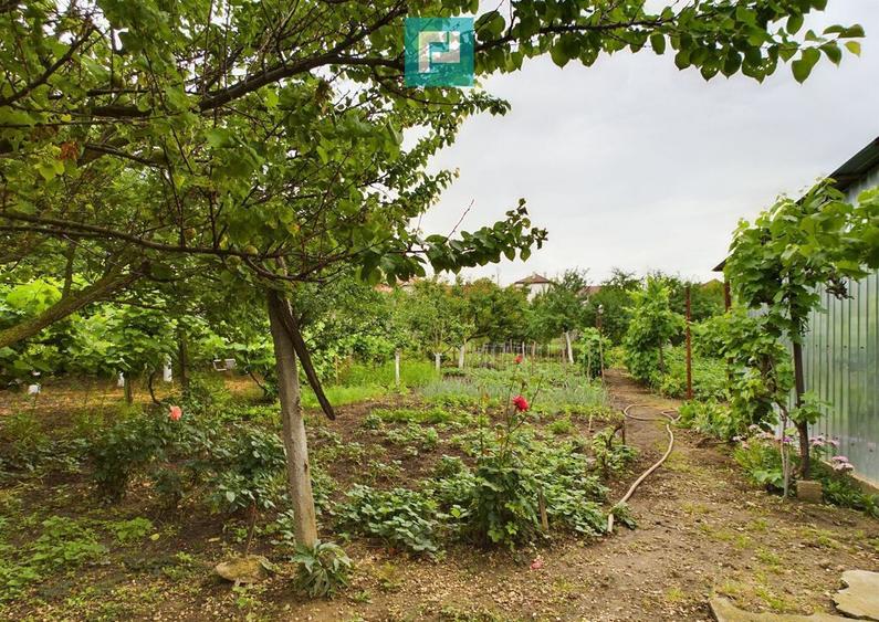 Casa ideala pentru o familie numeroasa, Santana - 8