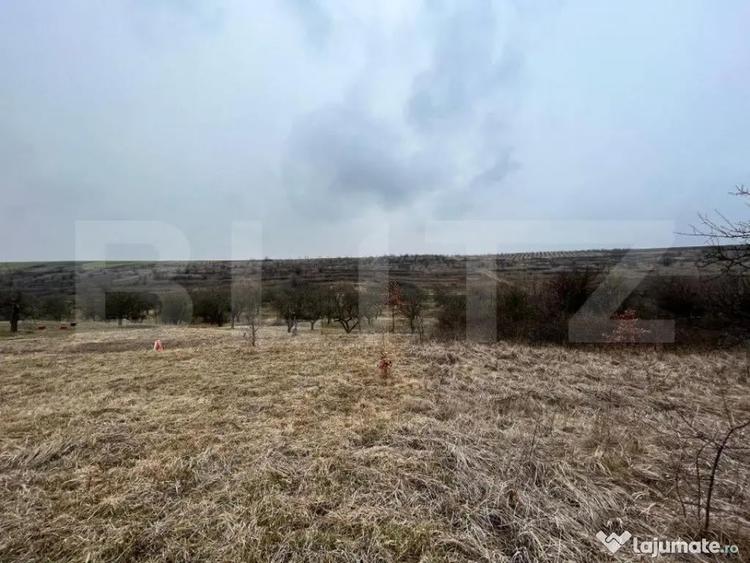 REDUCERE!!! Teren extravilan 5.613 mp, livada, zona Prede? - 1
