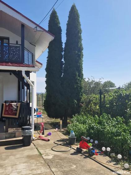 A 49 Vila LUX Letea , 320 mp utili cu 2294 mp teren intravilan - 7