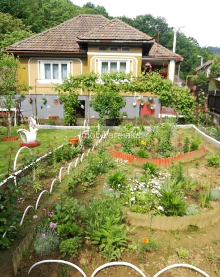 Ferneziu, zona buna, casa Ferneziu, zona buna, casa