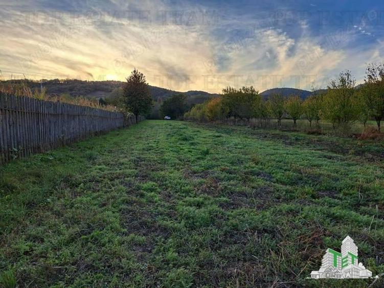 Teren de vanzare / Maneciu Pamanteni - 5