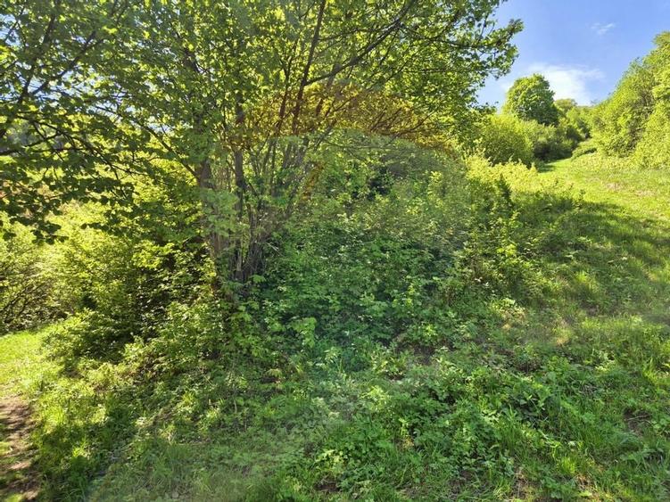 Teren intravilan 1,577mp Brasov / Schei/  constructii fara fundatie! - 15