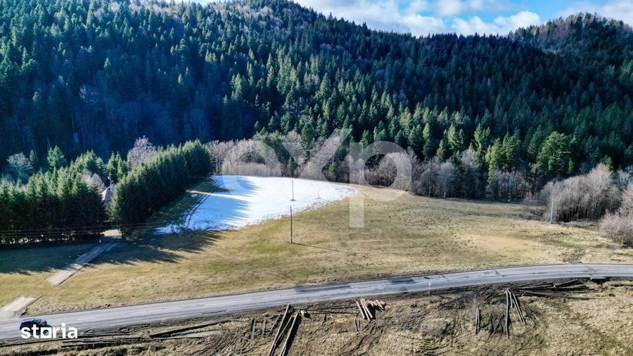 Teren extravilan 19.200 mp DN1A Sacele, Bradet | Front stradal 130 - 8