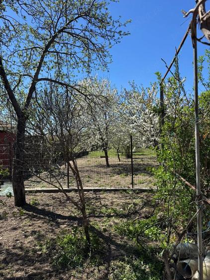 Vand casa cu gradina in Vanju-Mare jud. MH, situata intr-o zona buna si linistita a orasului. - 9