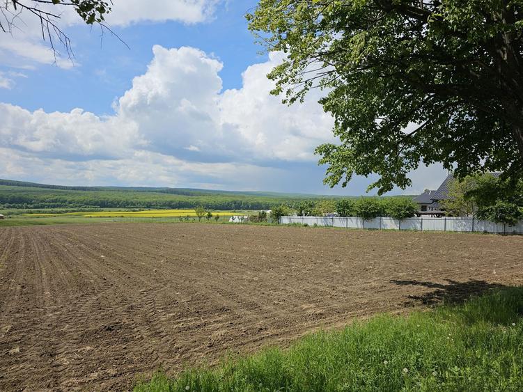 Vand 55,5 ari teren in Mitocu Dragomirnei - 5