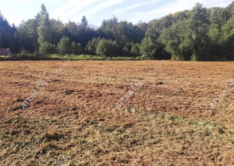 Teren intravilan de 1856 mp in Avrig zona Valea Avrigului - 6