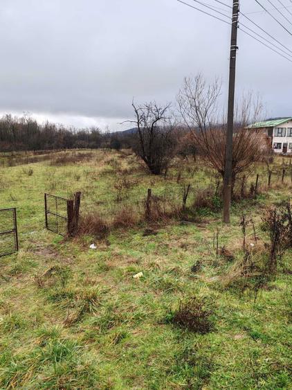 Teren de vanzare in Costesti,Valcea - 3