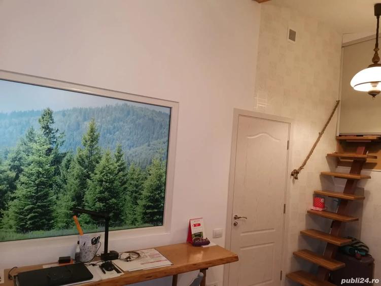 Vand casa la munte in Campulung Moldovenesc - 2