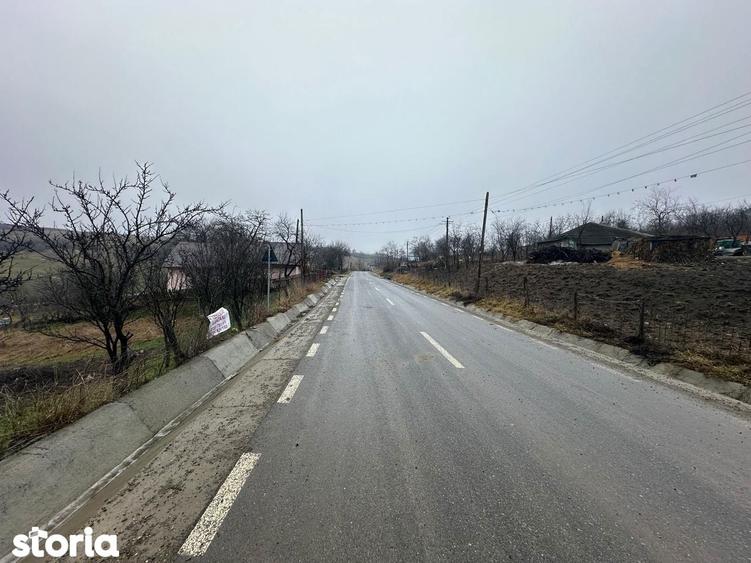 Teren de vanzare intravilan - 2