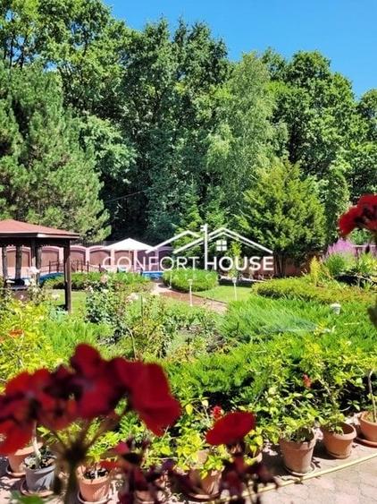 VILA D+P+E+M, 12 camere, piscina , padure, IANCU NICOLAE - 7