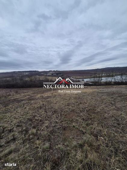 NECTORA IMOB-Teren Intravilan Zona Paleu, 589 mp, Vedere LAC,Utilitati - 1