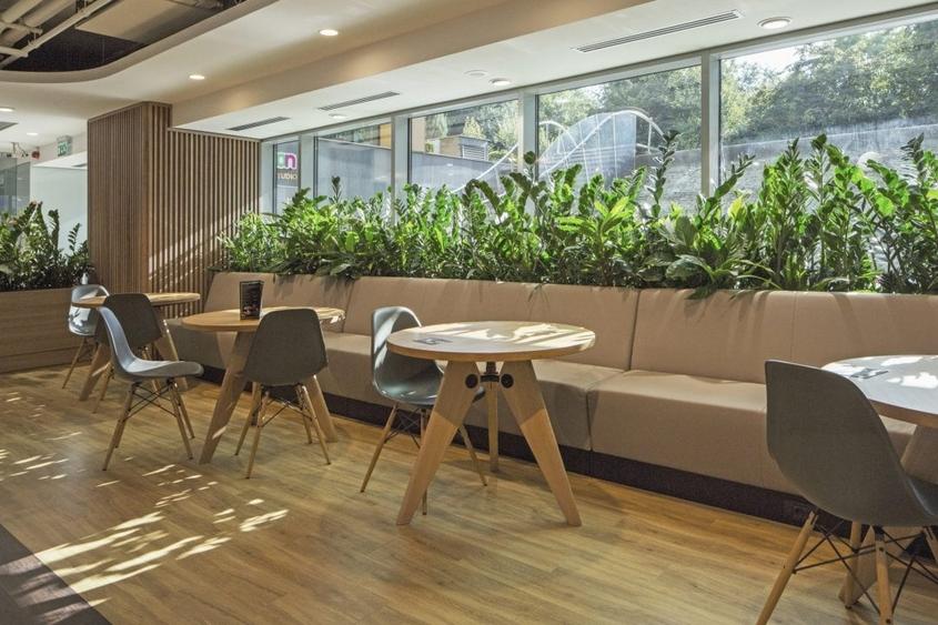 Spatiu de birou pentru inchiriat in cladirea myhive S-PARK - Casa Presei-Miorita - 7