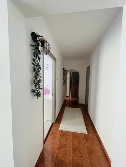 Apartament 2 cam | Ozana | negociabil - 4
