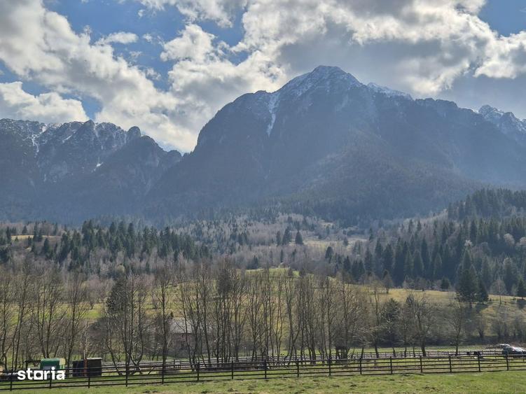 Teren intravilan cu vedere la munte, 1200 mp, acces usor, Plaiul Foii - 11