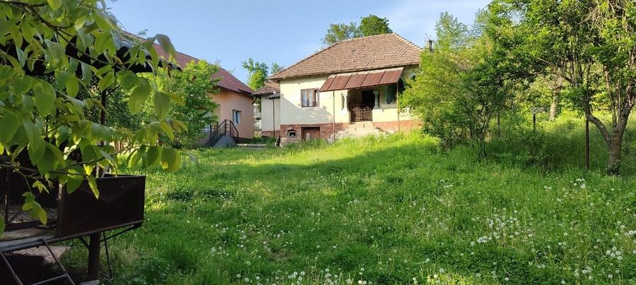 Casa+ casa batraneasca Surupate(Comuna Francesti, Valcea) - 2
